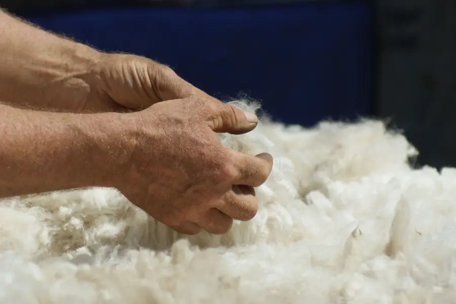 Alpacadelasuavidad,auvergne,haute Loire, Atelier, Fibre, Laine, Filage